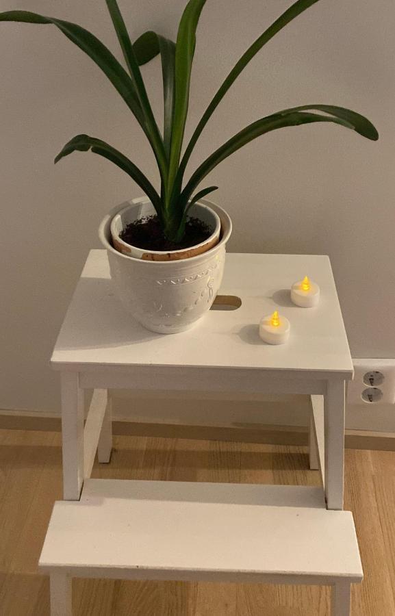 Ferienwohnung Rivitalohuoneisto Kokkola  Exterior foto